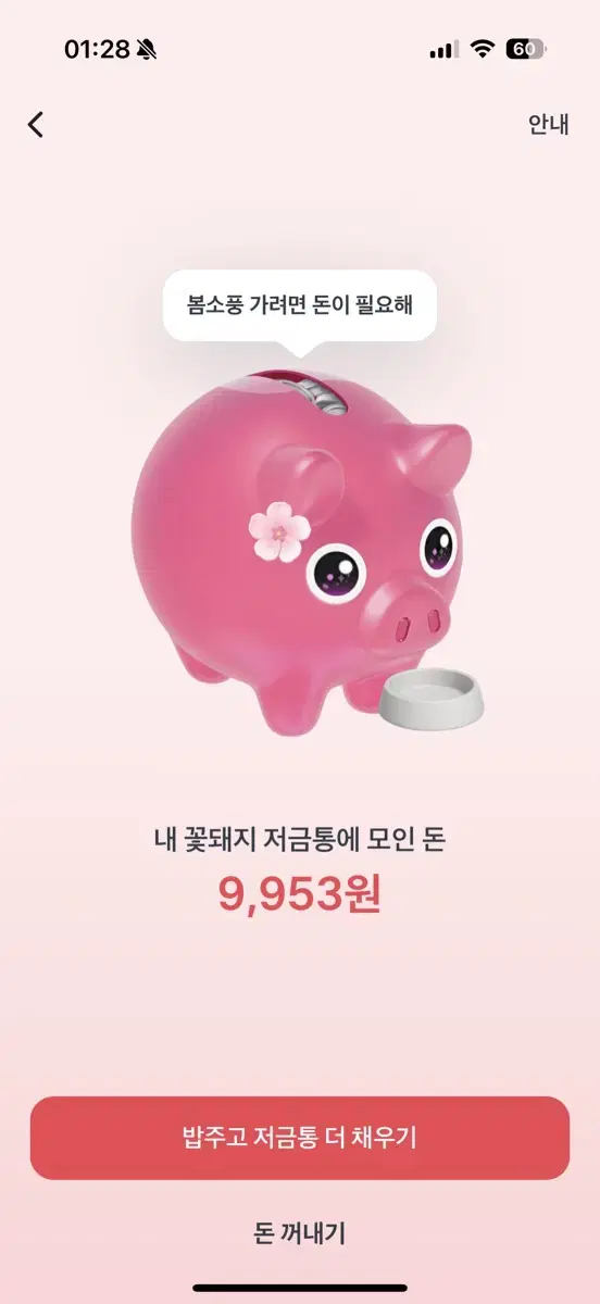 꽃돼지 이벤트 해주시면 500원